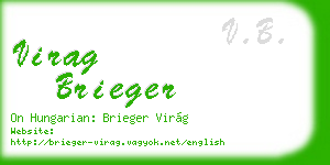 virag brieger business card