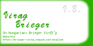 virag brieger business card